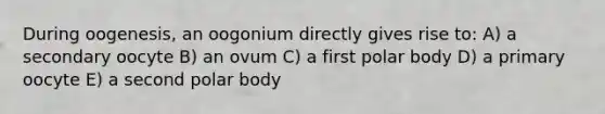 During oogenesis, an oogonium directly gives rise to: A) a secondary oocyte B) an ovum C) a first polar body D) a primary oocyte E) a second polar body