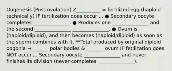 Oogenesis (Post-ovulation) Z__________ = fertilized egg (haploid technically) IF fertilization does occur ... ● Secondary oocyte completes _______________. ● Produces one _______________ and the second _______________ _______________. ● Ovum is (haploid/diploid), and then becomes (haploid/diploid) as soon as the sperm combines with it. **Total produced by original diploid oogonia →_______ polar bodies & _______ ovum IF fetilization does NOT occur.... Secondary oocyte _______________ and never finishes its division (never completes _______________).