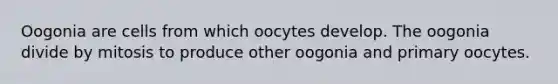 Oogonia are cells from which oocytes develop. The oogonia divide by mitosis to produce other oogonia and primary oocytes.