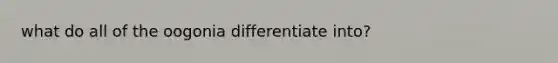 what do all of the oogonia differentiate into?