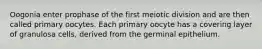 Oogonia enter prophase of the first meiotic division and are then called primary oocytes. Each primary oocyte has a covering layer of granulosa cells, derived from the germinal epithelium.