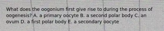 What does the oogonium first give rise to during the process of oogenesis? A. a primary oocyte B. a second polar body C. an ovum D. a first polar body E. a secondary oocyte