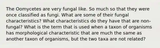 The Oomycetes are very fungal like. So much so that they were once classified as fungi. What are some of their fungal characteristics? What characteristics do they have that are non-fungal? What is the term that is used when a taxon of organisms has morphological characteristic that are much the same as another taxon of organisms, but the two taxa are not related?