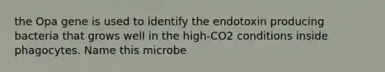 the Opa gene is used to identify the endotoxin producing bacteria that grows well in the high-CO2 conditions inside phagocytes. Name this microbe