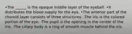 •The ______ is the opaque middle layer of the eyeball. •It distributes the blood supply for the eye. •The anterior part of the choroid layer consists of three structures: -The iris is the colored portion of the eye. -The pupil is the opening in the center of the iris. -The ciliary body is a ring of smooth muscle behind the iris.