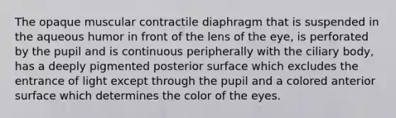 The opaque muscular contractile diaphragm that is suspended in the aqueous humor in front of the lens of the eye, is perforated by the pupil and is continuous peripherally with the ciliary body, has a deeply pigmented posterior surface which excludes the entrance of light except through the pupil and a colored anterior surface which determines the color of the eyes.