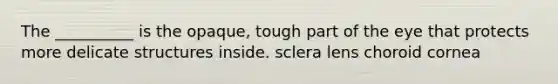 The __________ is the opaque, tough part of the eye that protects more delicate structures inside. sclera lens choroid cornea