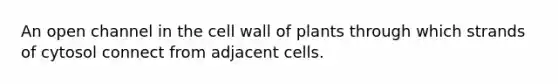 An open channel in the cell wall of plants through which strands of cytosol connect from adjacent cells.