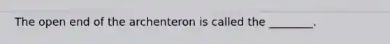 The open end of the archenteron is called the ________.