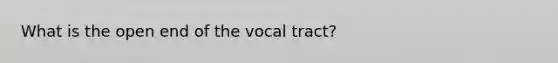 What is the open end of the vocal tract?