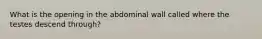 What is the opening in the abdominal wall called where the testes descend through?