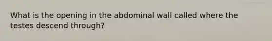 What is the opening in the abdominal wall called where the testes descend through?