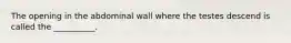 The opening in the abdominal wall where the testes descend is called the __________.