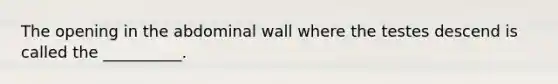 The opening in the abdominal wall where the testes descend is called the __________.