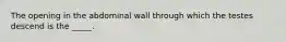 The opening in the abdominal wall through which the testes descend is the _____.