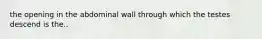 the opening in the abdominal wall through which the testes descend is the..