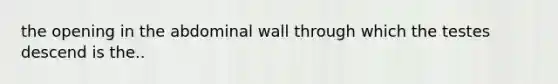 the opening in the abdominal wall through which the testes descend is the..