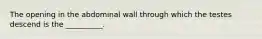 The opening in the abdominal wall through which the testes descend is the __________.