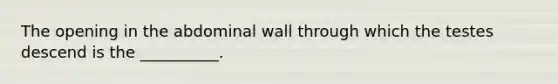 The opening in the abdominal wall through which the testes descend is the __________.