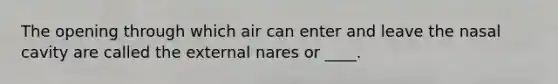 The opening through which air can enter and leave the nasal cavity are called the external nares or ____.