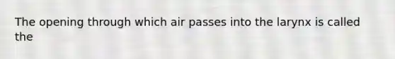 The opening through which air passes into the larynx is called the