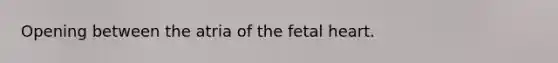 Opening between the atria of the fetal heart.