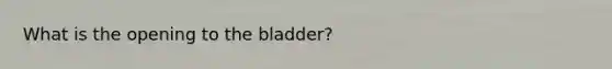 What is the opening to the bladder?