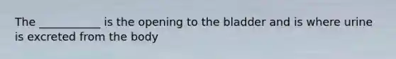 The ___________ is the opening to the bladder and is where urine is excreted from the body