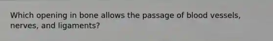 Which opening in bone allows the passage of blood vessels, nerves, and ligaments?