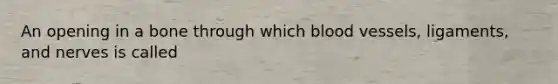 An opening in a bone through which blood vessels, ligaments, and nerves is called