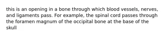 this is an opening in a bone through which blood vessels, nerves, and ligaments pass. For example, the spinal cord passes through the foramen magnum of the occipital bone at the base of the skull