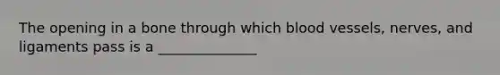 The opening in a bone through which blood vessels, nerves, and ligaments pass is a ______________