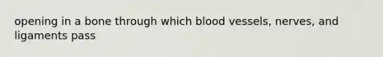 opening in a bone through which blood vessels, nerves, and ligaments pass