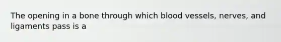 The opening in a bone through which <a href='https://www.questionai.com/knowledge/kZJ3mNKN7P-blood-vessels' class='anchor-knowledge'>blood vessels</a>, nerves, and ligaments pass is a