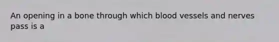 An opening in a bone through which <a href='https://www.questionai.com/knowledge/kZJ3mNKN7P-blood-vessels' class='anchor-knowledge'>blood vessels</a> and nerves pass is a