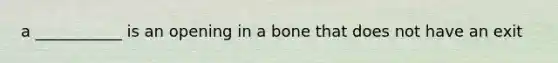 a ___________ is an opening in a bone that does not have an exit