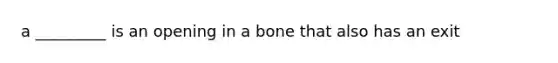 a _________ is an opening in a bone that also has an exit