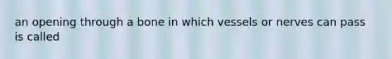 an opening through a bone in which vessels or nerves can pass is called