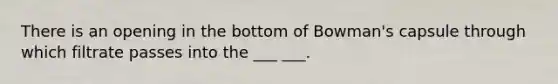 There is an opening in the bottom of Bowman's capsule through which filtrate passes into the ___ ___.