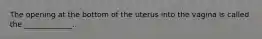 The opening at the bottom of the uterus into the vagina is called the _____________.