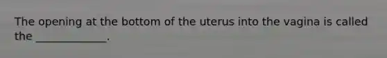 The opening at the bottom of the uterus into the vagina is called the _____________.