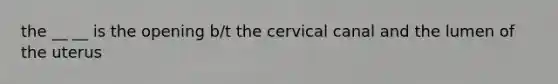 the __ __ is the opening b/t the cervical canal and the lumen of the uterus