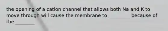 the opening of a cation channel that allows both Na and K to move through will cause the membrane to _________ because of the ________