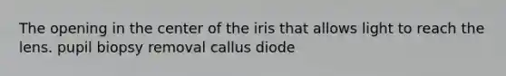 The opening in the center of the iris that allows light to reach the lens. pupil biopsy removal callus diode