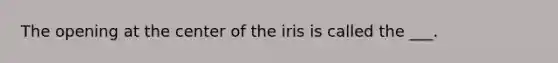 The opening at the center of the iris is called the ___.