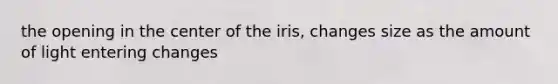 the opening in the center of the iris, changes size as the amount of light entering changes