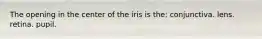 The opening in the center of the iris is the: conjunctiva. lens. retina. pupil.