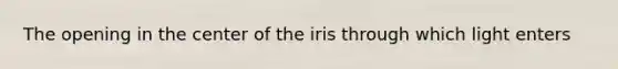 The opening in the center of the iris through which light enters