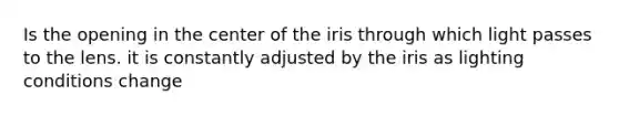 Is the opening in the center of the iris through which light passes to the lens. it is constantly adjusted by the iris as lighting conditions change