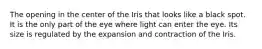 The opening in the center of the Iris that looks like a black spot. It is the only part of the eye where light can enter the eye. Its size is regulated by the expansion and contraction of the Iris.